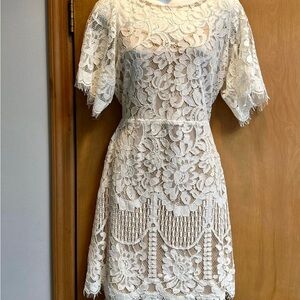 Lulu's Cream Sheath Dress with Flutter Sleeves